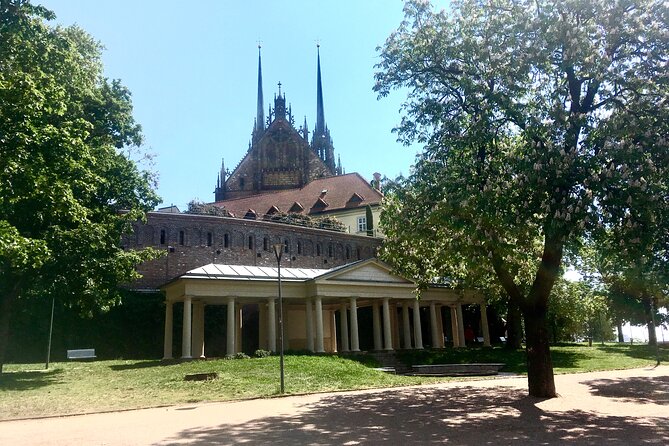 2 Hours Private Walking Tour in Brno - Zelný trh and the world below the square