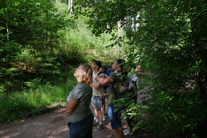 3 in 1 Tour Brewery & Castle in Bohemian Paradise Unesco Geopark - Prachov Rocks: sandstone towers and tight passages