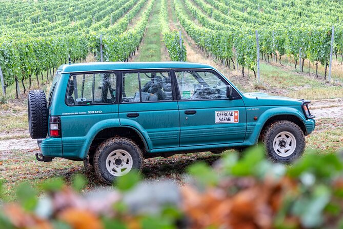 A delightful wine tasting in the scenic countryside with lunch - Lunch in a small Czech restaurant