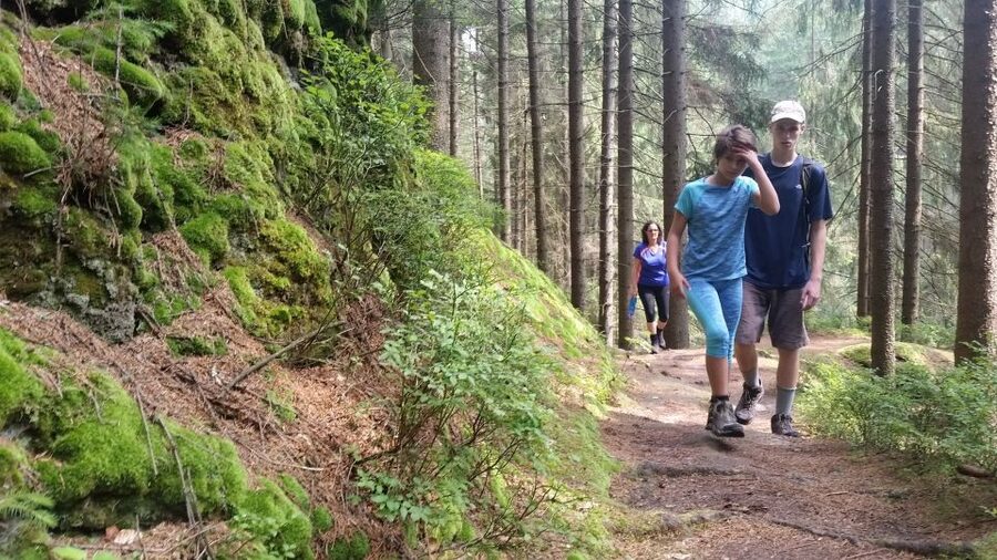 Bohemian Switzerland: Private Day Trip from Prague - Key points to know before booking