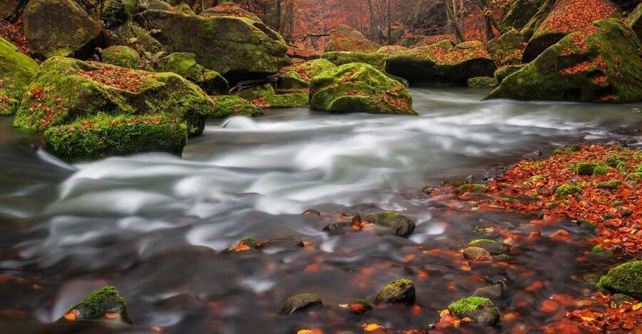 Bohemian Switzerland: Private Day Trip from Prague - Small details that make the day easier