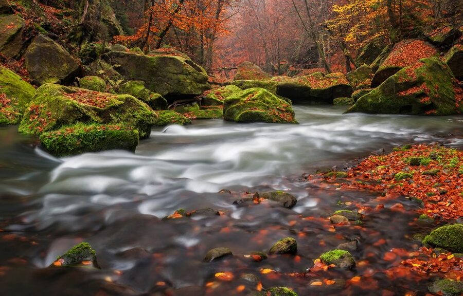 Bohemian Switzerland: Private Day Trip from Prague - The drive from Prague sets the day’s pace