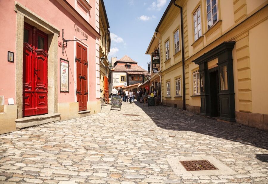 Bone Church and Kutna Hora Private Tour from Prague - The Guide Can Shape the Day