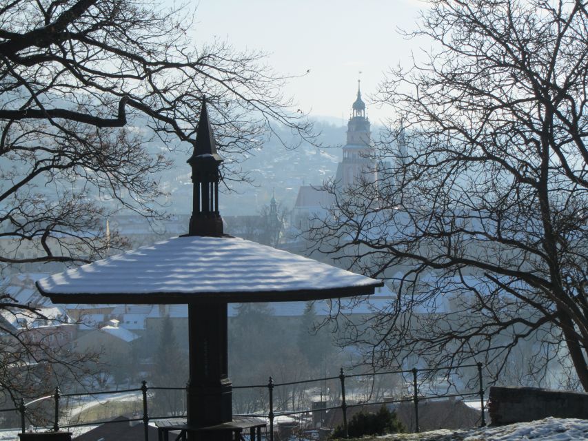 Český Krumlov: 2 Hour Private Walking Tour with Guide - Price, flexibility, and practical value