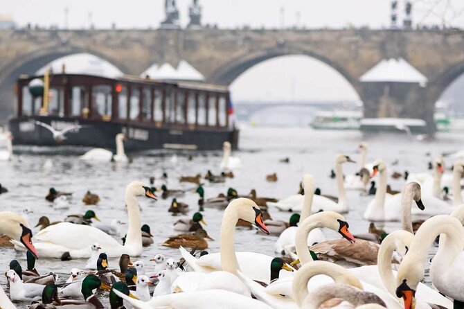 Charles Bridge: River Boat Cruise & Guided Tour ️with PragueWay - How the guides shape the experience