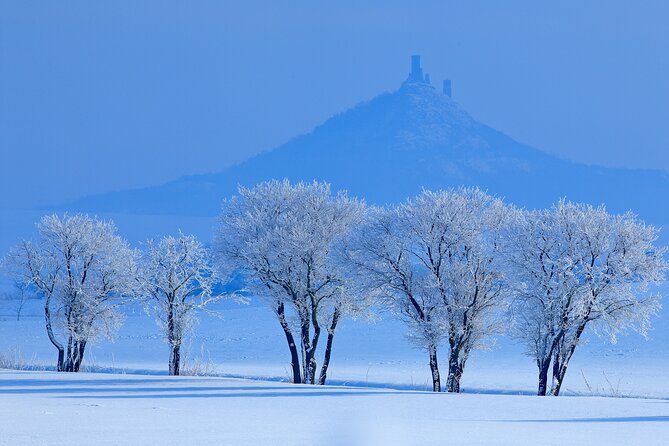 Cozy Winter Countryside Tour 4x4: Experience Authentic Bohemia - Wine beneath castles and beside old stone
