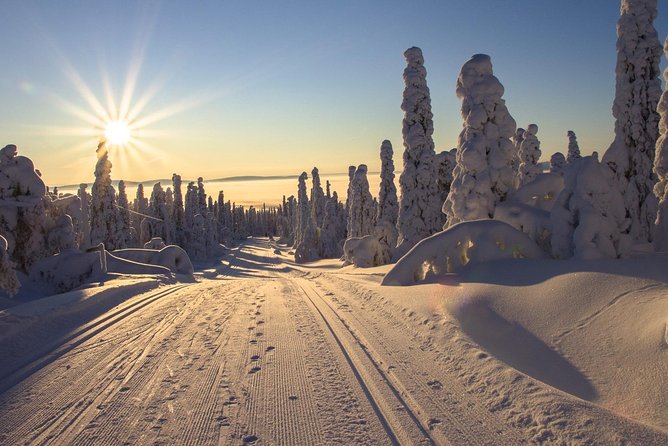 Cross-Country Skiing Guided Tour From Prague - Leaving Prague at 7:30 am