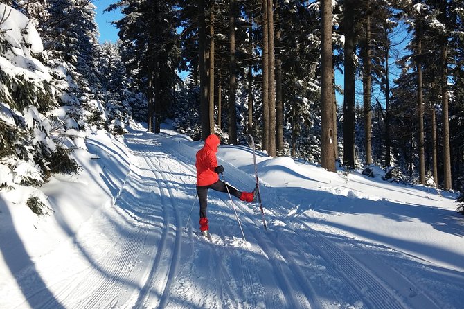 Cross-Country Skiing Guided Tour From Prague - Five hours on groomed tracks near Bedřichov