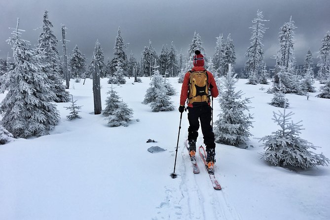 Cross-Country Skiing Guided Tour From Prague - Why the small group improves the instruction