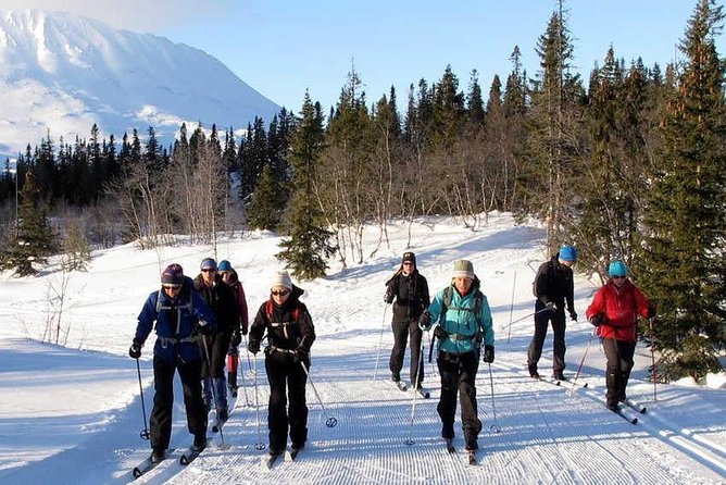 Cross-Country Skiing Guided Tour From Prague - The ride back to Prague