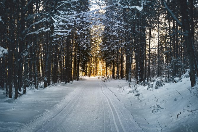 Cross-Country Skiing Guided Tour From Prague - Is $313 a fair price?