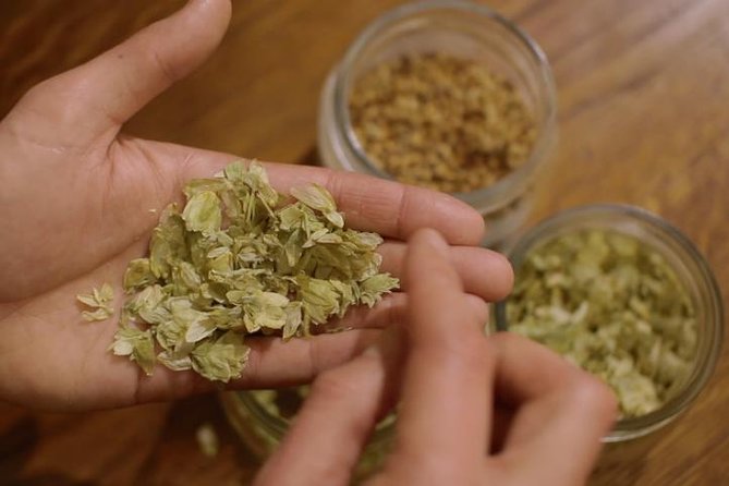 Czech Beer Tasting Experience - Seven Czech beers in one Old Town sitting
