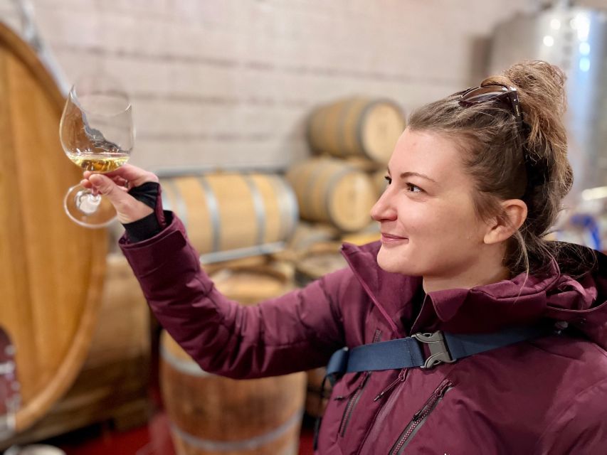 Czech Vineyards and Wine Tasting 4WD Tour with Lunch - Key points at a glance