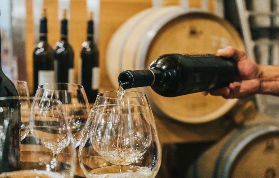 Czech Vineyards and Wine Tasting 4WD Tour with Lunch - Practical details before you book