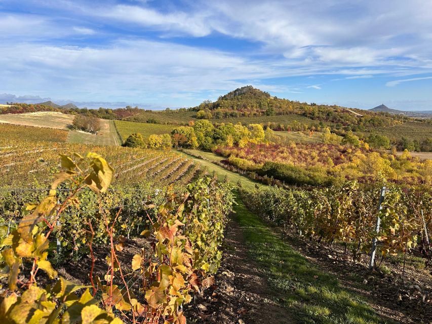 Czech Vineyards and Wine Tasting 4WD Tour with Lunch - A Czech lunch with beer and castle views