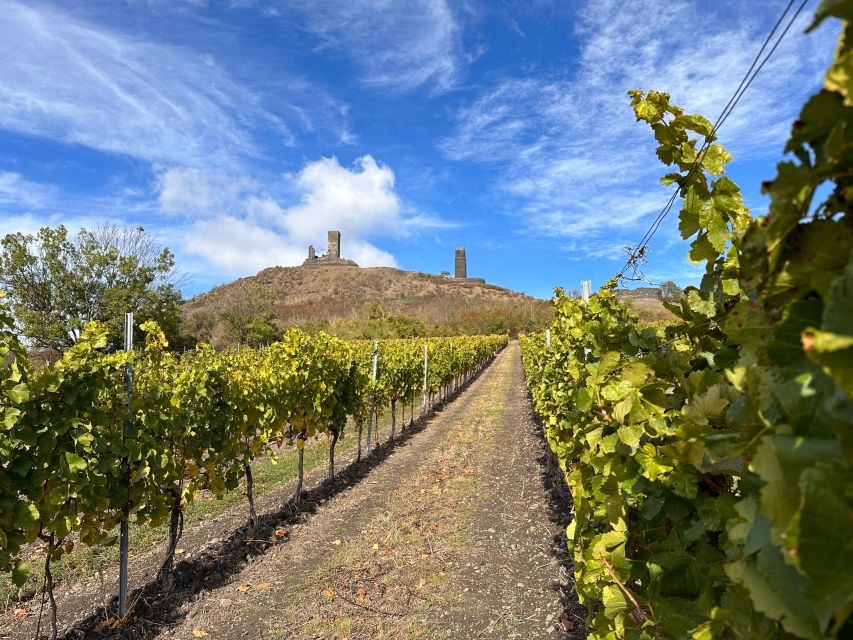 Czech Vineyards and Wine Tasting 4WD Tour with Lunch - How the day suits different kinds of visitors