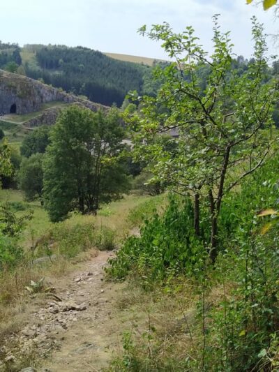 Discover Moravian Karst: Seven Stops, One Tailored Tour