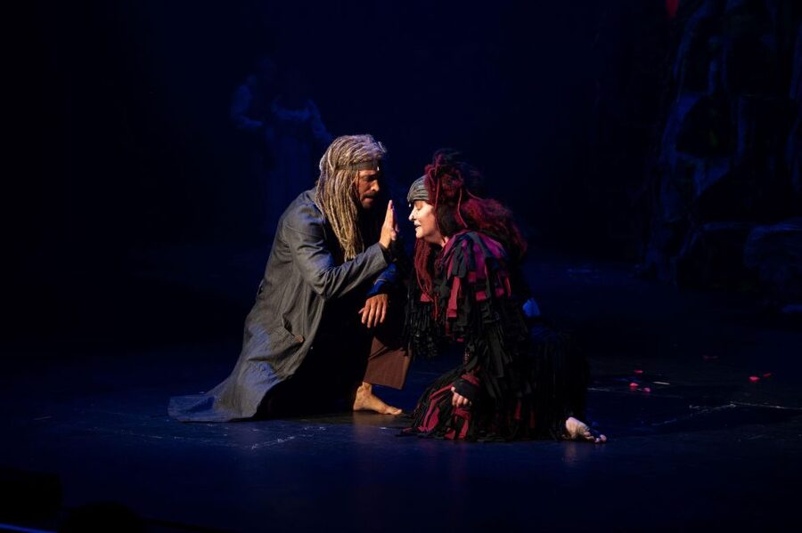 Disney's Tarzan Musical - Should You Book Disney’s Tarzan Musical?