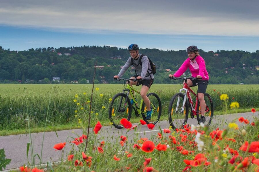 E-Bike Day Trip: Visit a Roman Castle and Taste Craft Beer - Key points at a glance