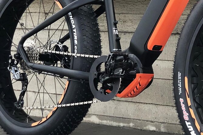 FAT TIRE E-BIKE GREAT TOUR - river, parks & panoramic views tour - Crossing Charles Bridge by bike