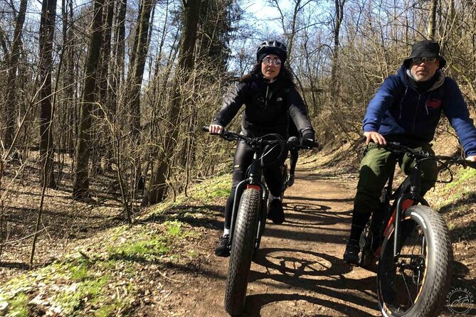 FAT TIRE E-BIKE GREAT TOUR - river, parks & panoramic views tour - Kafka’s fountain and the Rudolfinum