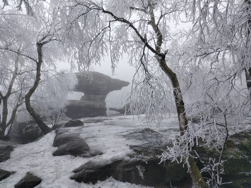 From Prague: Bohemian & Saxon Switzerland Iconic Day Trip - Winter conditions, summer walking, and route changes