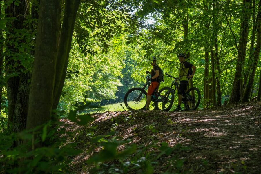 From Prague: E-Mountain Biking Trip to the Bohemian Paradise - Fitness, age, and the real difficulty