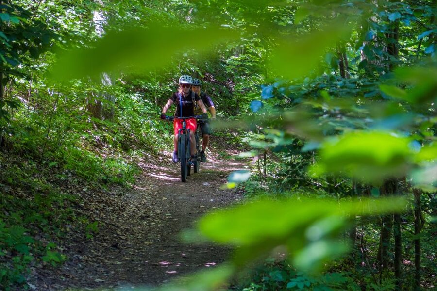 From Prague: E-Mountain Biking Trip to the Bohemian Paradise - Through the sandstone gorge