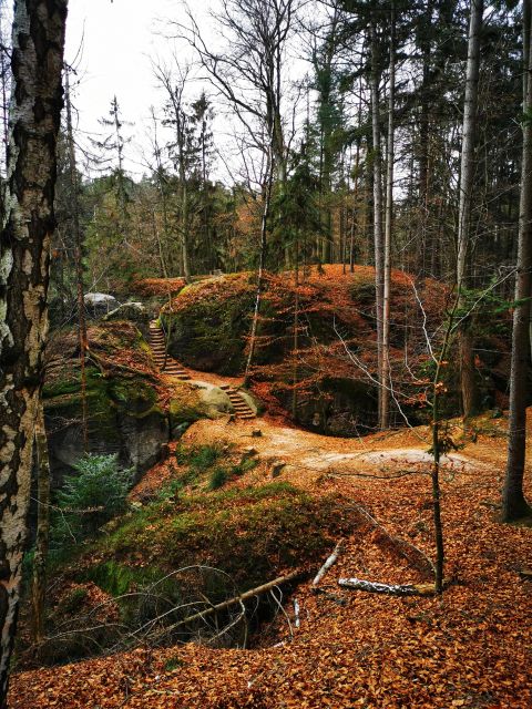 From Prague: Full-Day Bohemian Paradise Guided Hiking Trip - Why Bohemian Paradise makes a strong day trip from Prague