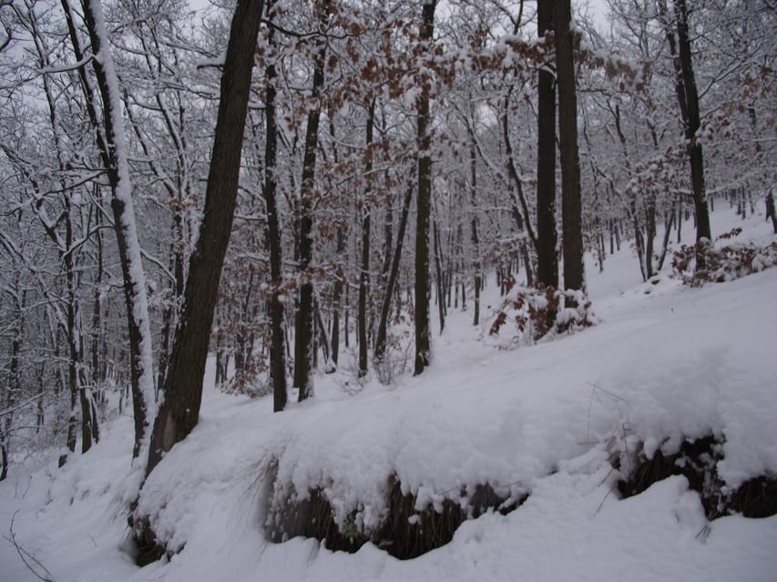Get to know South Moravia with us. 6 hour tour. - How the six-hour schedule feels