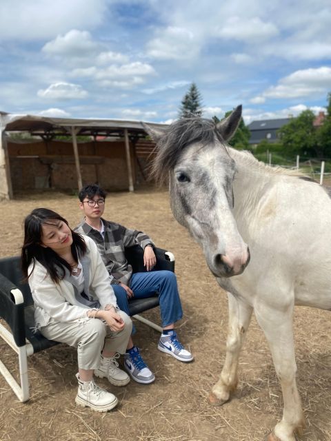 Horseback riding tour near Prague - Key points at a glance