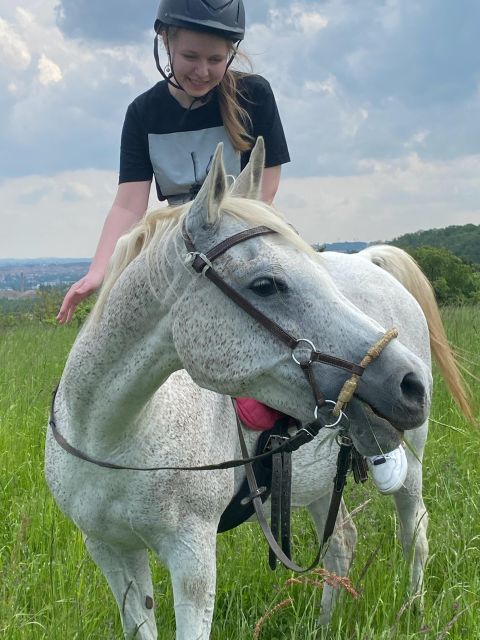 Horseback riding tour near Prague - A 50 to 75 minute walk through fields and woods