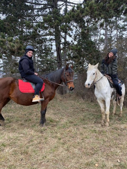 Horseback riding tour near Prague - Horse welfare is the heart of the outing