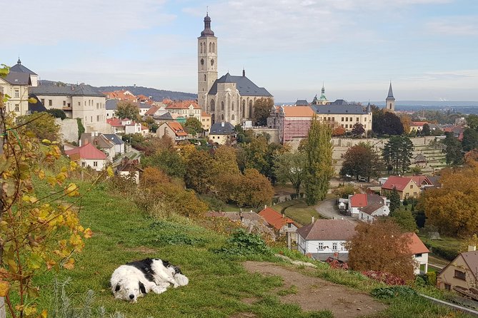 Kutná Hora and Bone church - private tour with PERSONAL PRAGUE GUIDE - The Bone Church: a quiet, unsettling first stop