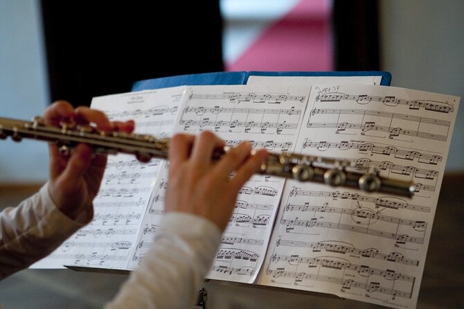 Lobkowicz Palace Concert in Prague Ticket - The musicians and the level of performance