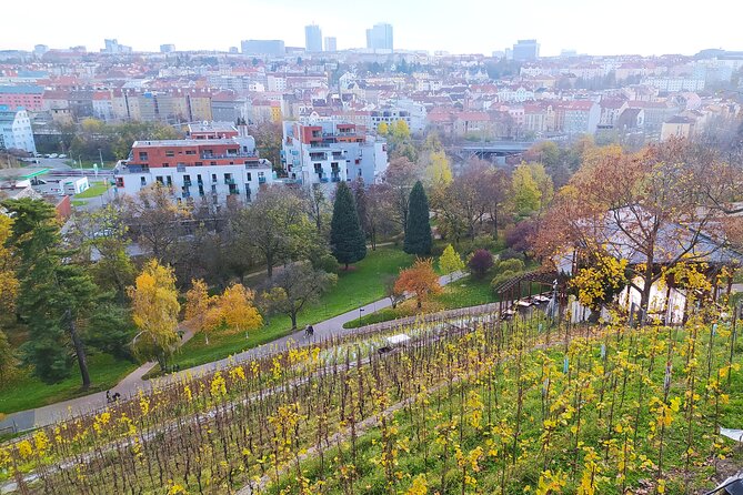 Non-touristy Prague - Cozy Neighborhoods - Private Tour - Grébovka and Prague’s garden side