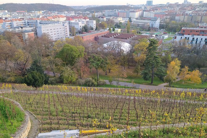 Non-touristy Prague - Cozy Neighborhoods - Private Tour - New Town and the water-supply tower