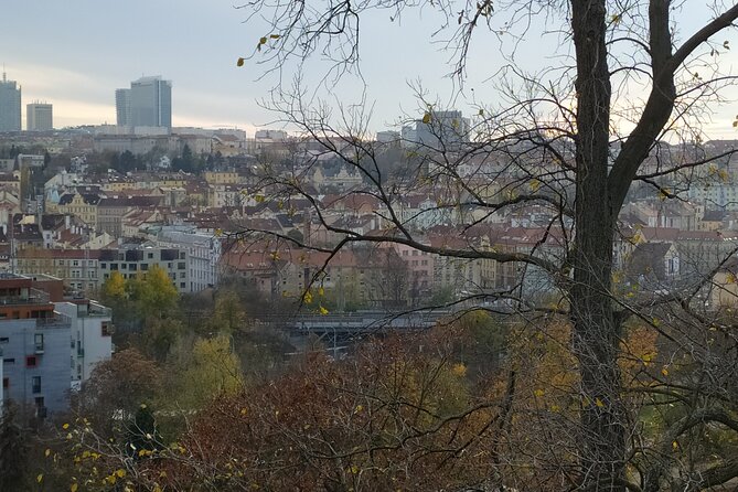 Non-touristy Prague - Cozy Neighborhoods - Private Tour - Folimanka Park and the Botič valley
