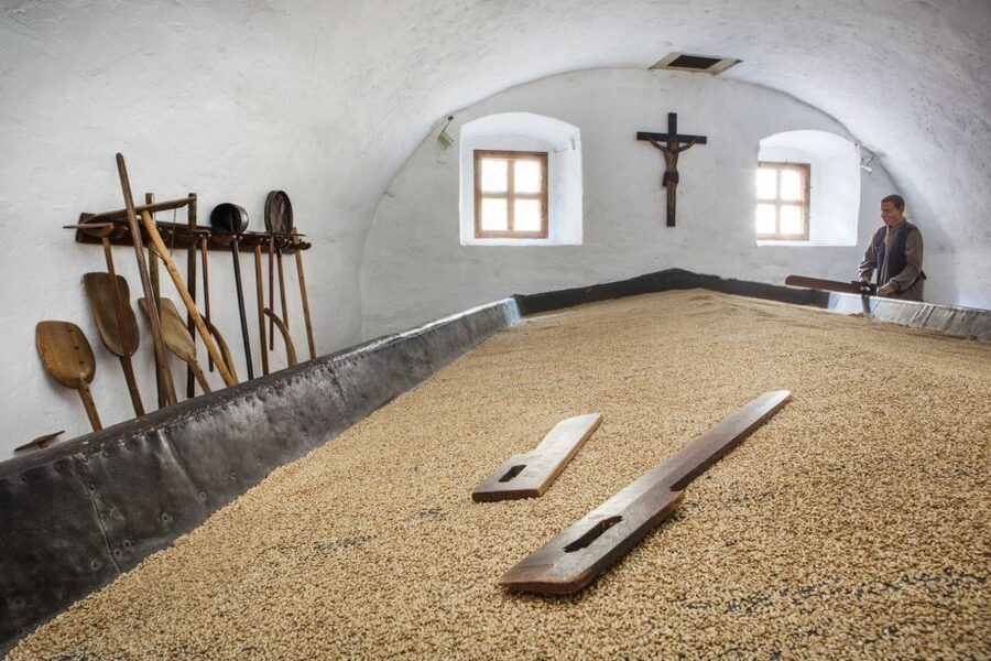 Pilsen: Brewery Museum Entrance with a Glass of Beer - What the medieval cellars reveal