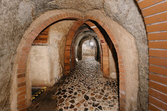 Pilsen Historic Underground Tour with a Glass of Beer - What You Find Beneath Pilsen’s Streets