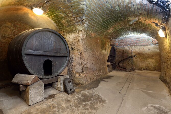 Pilsen Historic Underground Tour with a Glass of Beer - Why the Medieval Displays Matter