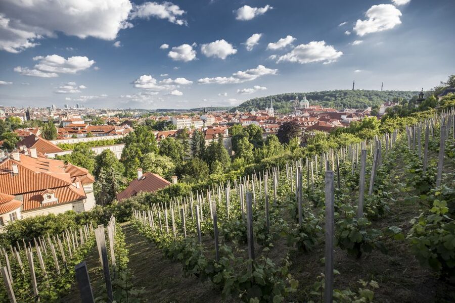 Prague: 3–Hour Castle Grounds Walking Tour and River Cruise - Crossing Charles Bridge with a guide