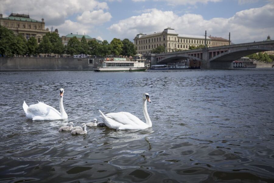 Prague: 3–Hour Castle Grounds Walking Tour and River Cruise - St. Vitus Cathedral and St. George Basilica from the outside