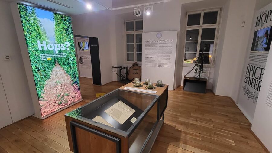 Prague: Beer Museum Tour with Tasting and Beer Bottling - Who will enjoy this beer museum most?