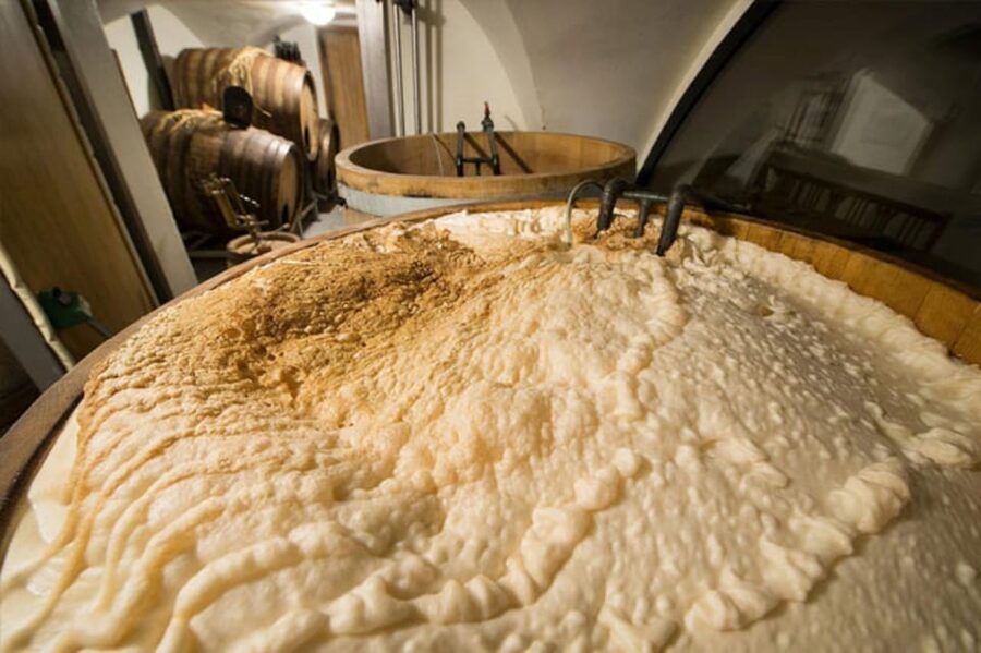 Prague: Beer Tasting and Brewery Tour - What the guide adds to the experience