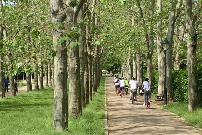 Prague Bike Tour - Stunning Viewpoints, Castle, City & Park - Prague Castle, St. Vitus’s Cathedral, and the Royal Gardens