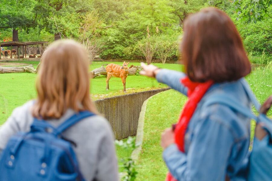 Prague: Boat Ride to the Zoo and Admission Ticket - Small details that improve the day