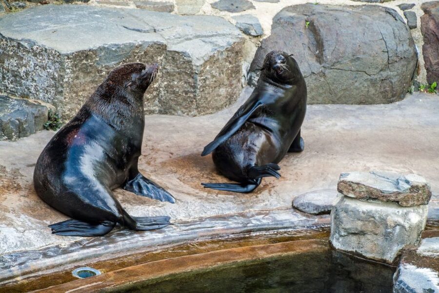 Prague: Boat Ride to the Zoo and Admission Ticket - What happens when you reach Prague Zoo