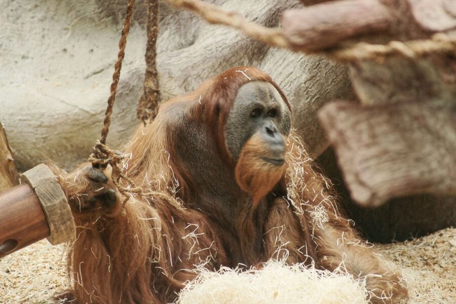 Prague: Boat Ride to the Zoo and Admission Ticket - Who will enjoy this day most