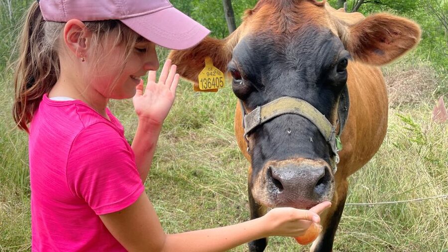 Prague: Bohemian Uplands Garnet Panning&Animal Farm 4WD Tour - A Czech lunch with four castles in view